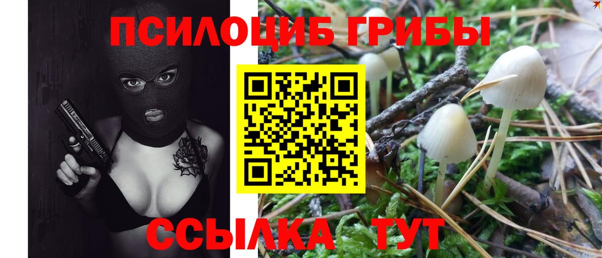 Зеленокумск  Псилоцибиновые грибы GOLDEN TEACHER  Вход с VPN 